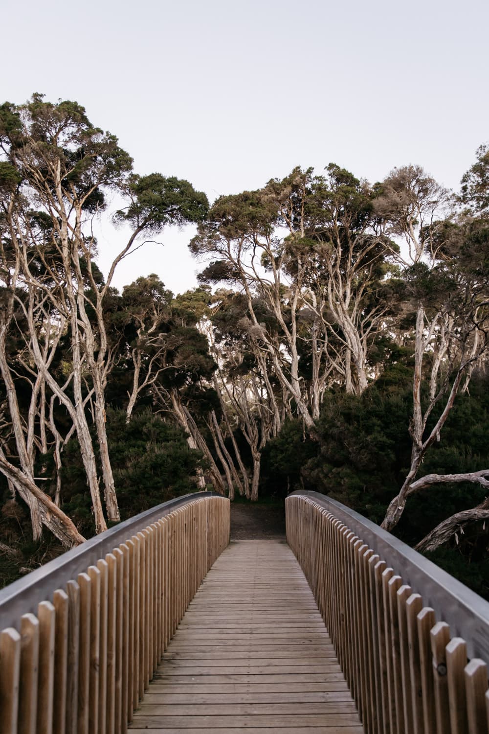 Standing on bridge over lake