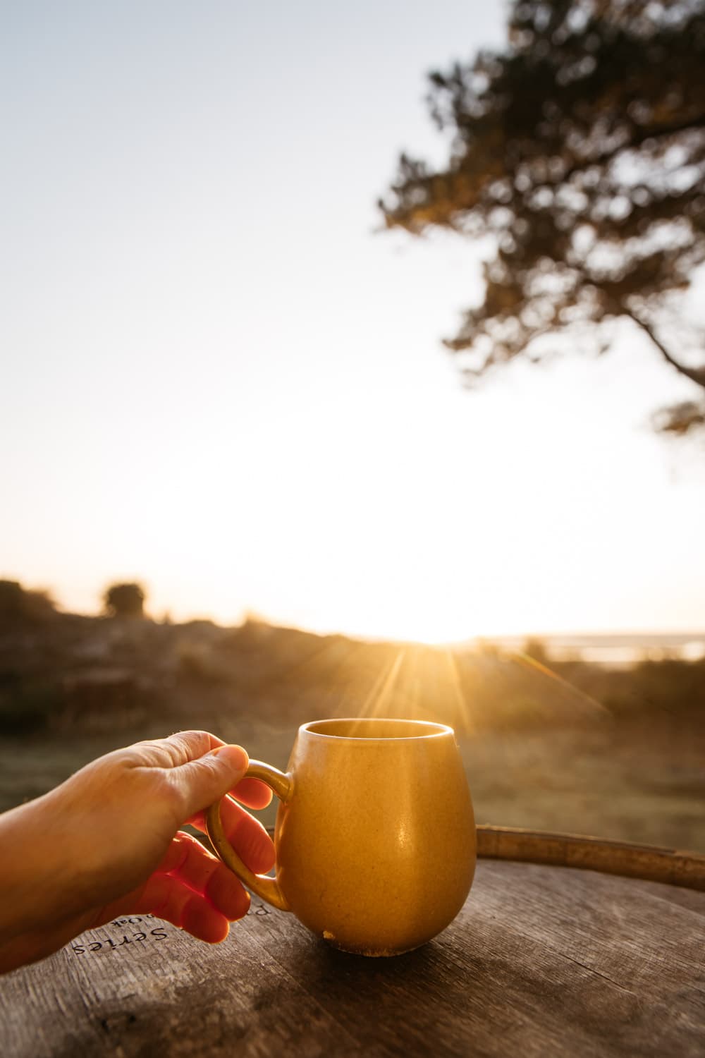 Having a coffee in the garden with the sunrise